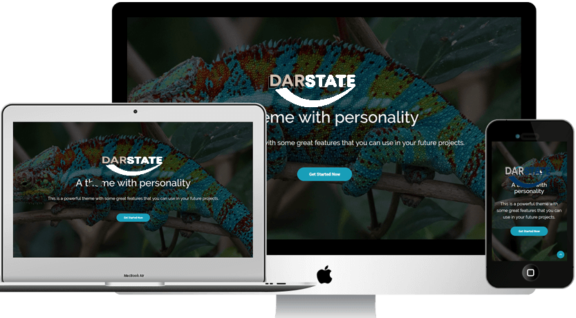 DarState - A perfect Agency